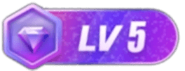 等级-LV5-腾渊创想